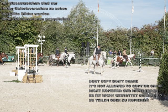 a_DSC06403.JPG